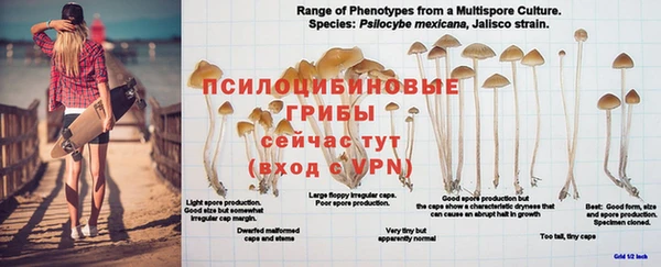 ALPHA-PVP Беломорск