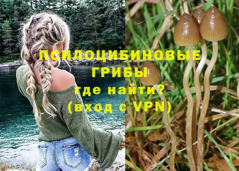 Псилоцибиновые грибы Magic Shrooms  Североморск 